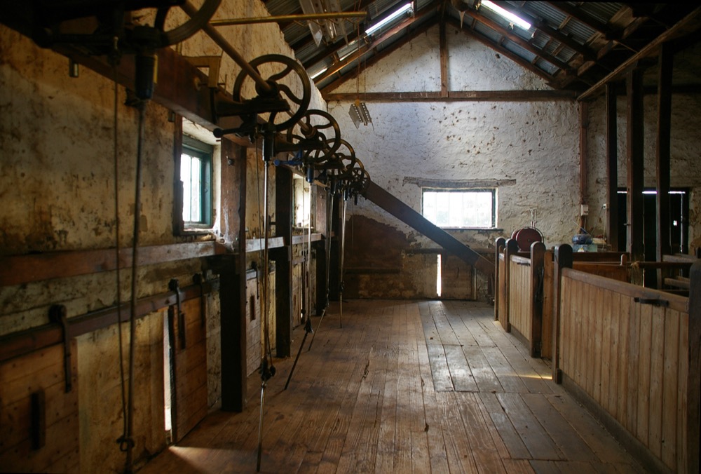 Shearing shed