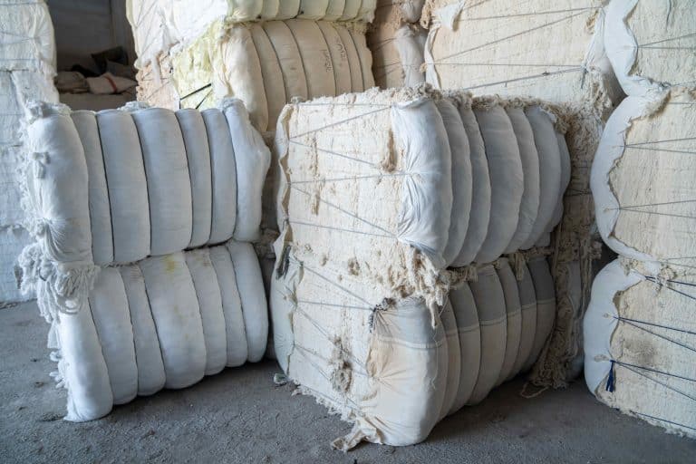 Our 5 favourite facts about Australian wool - AustralianFarmers