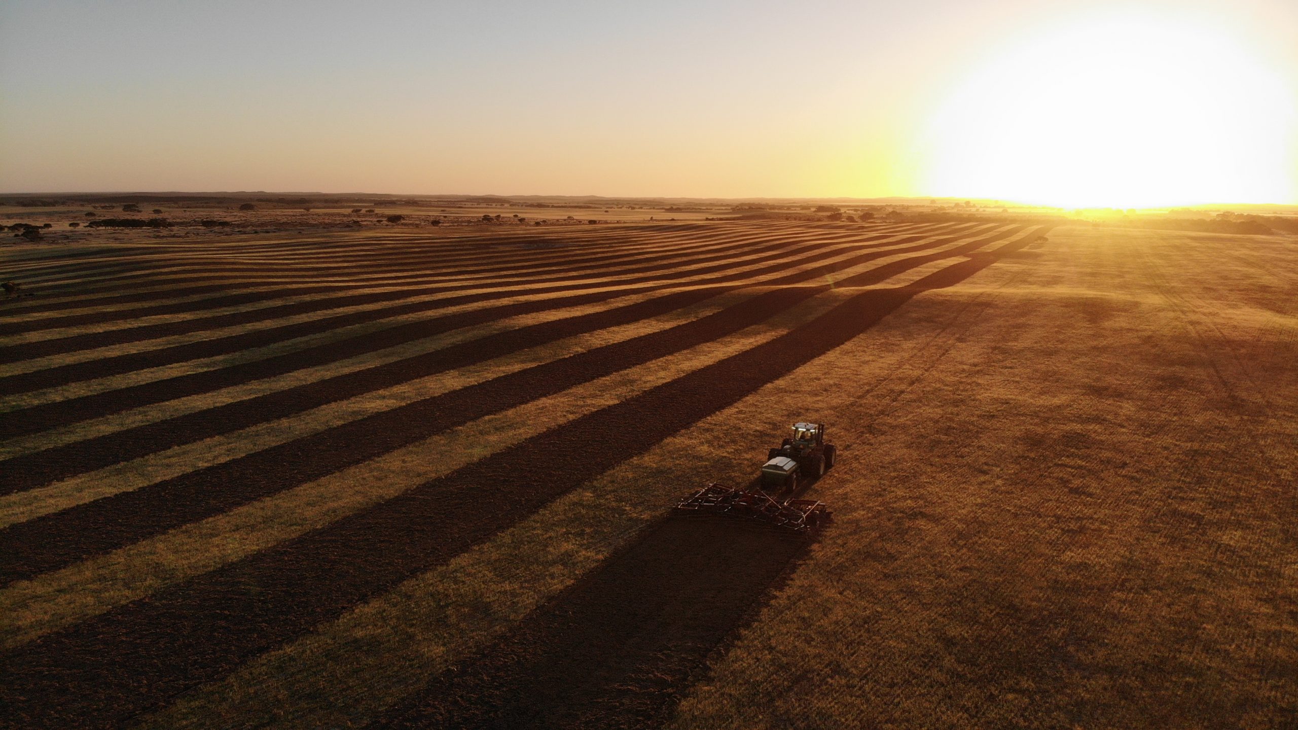 Runner Up: Stripey Sunrise, Mark Merrett