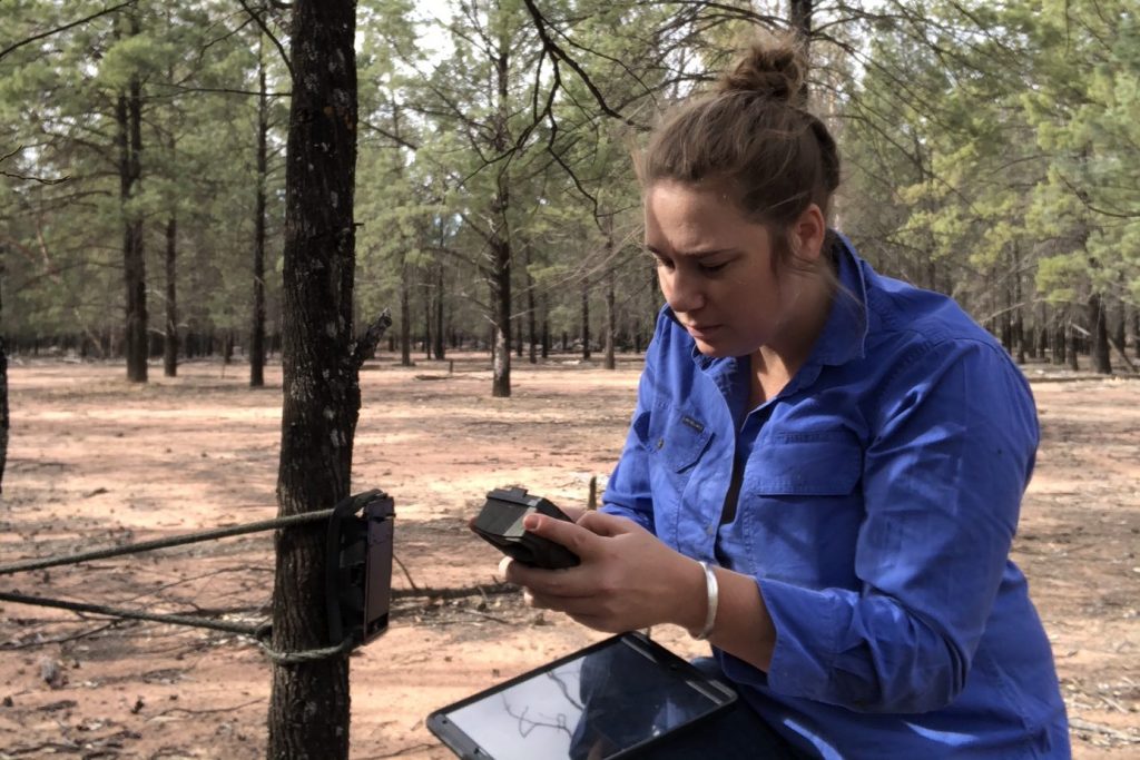 Jillaroo of all trades AustralianFarmers