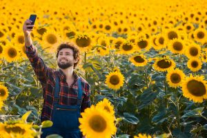 Handsome young farmer standing in the middle of a golden sunflower field smiling and taking a