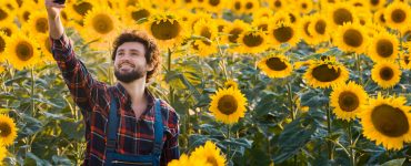 Handsome young farmer standing in the middle of a golden sunflower field smiling and taking a
