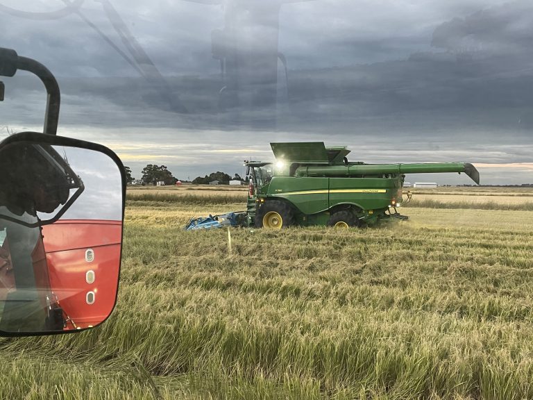 The Hollins family 'rice' to the top - AustralianFarmers