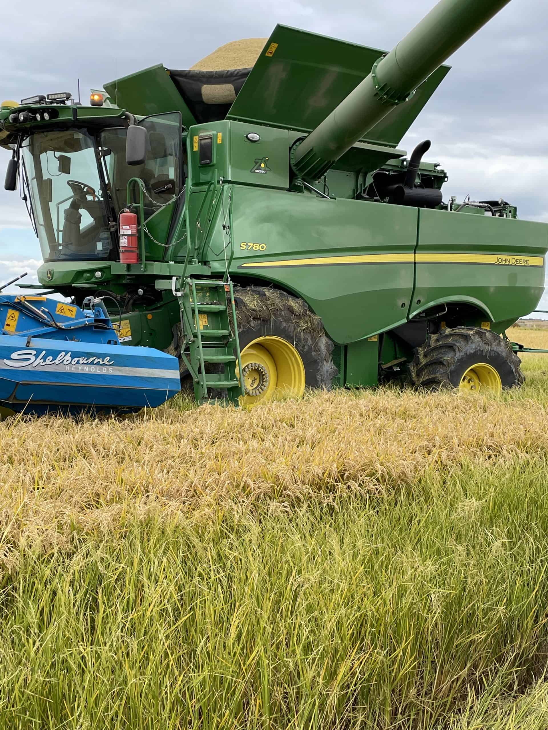 Boriki Rice The Hollins family 'rice' to the top - AustralianFarmers