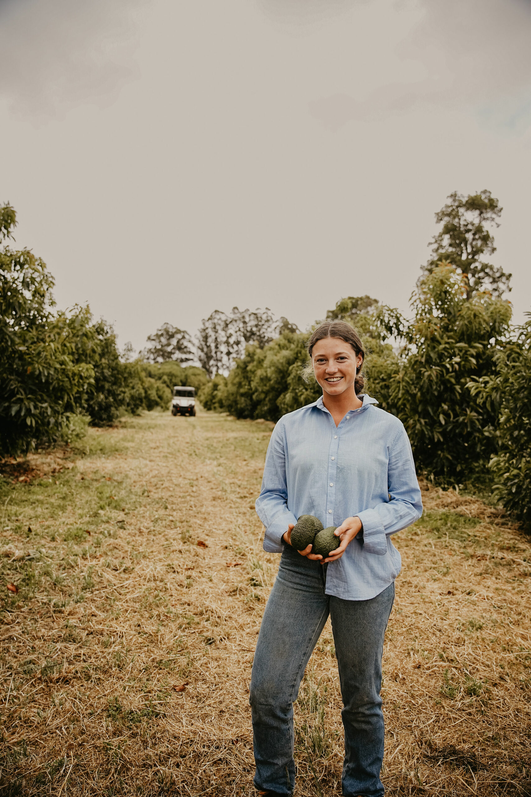 How a glut and too much guac became an ice cream dream AustralianFarmers